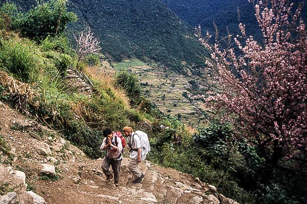 Nepal